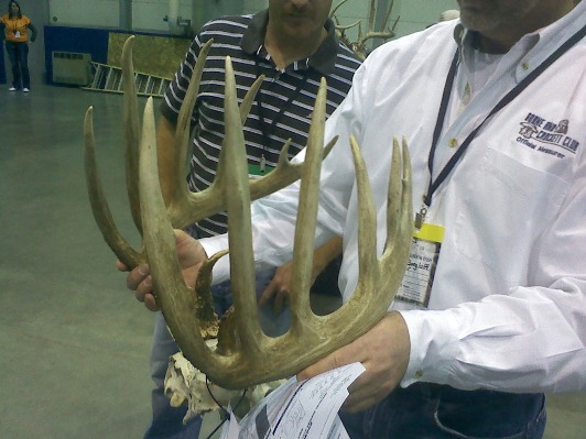 kansas buck poached antlers